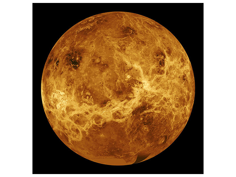 canvas-print-the-venus