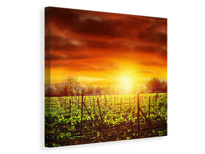 canvas-print-the-vineyard-at-sunset