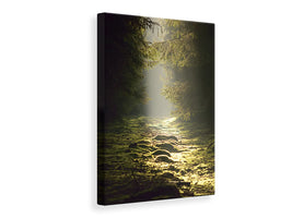 canvas-print-the-wild-way