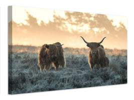 canvas-print-three-highlanders-x