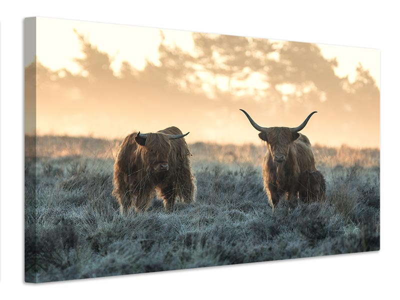 canvas-print-three-highlanders-x