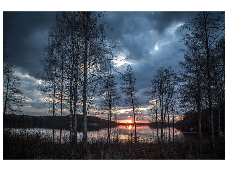 canvas-print-trees-at-the-lake