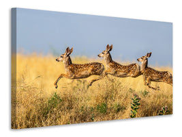 canvas-print-tripple-jump