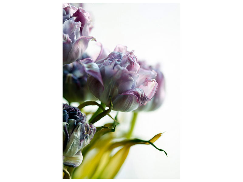 canvas-print-tulip-bouquet