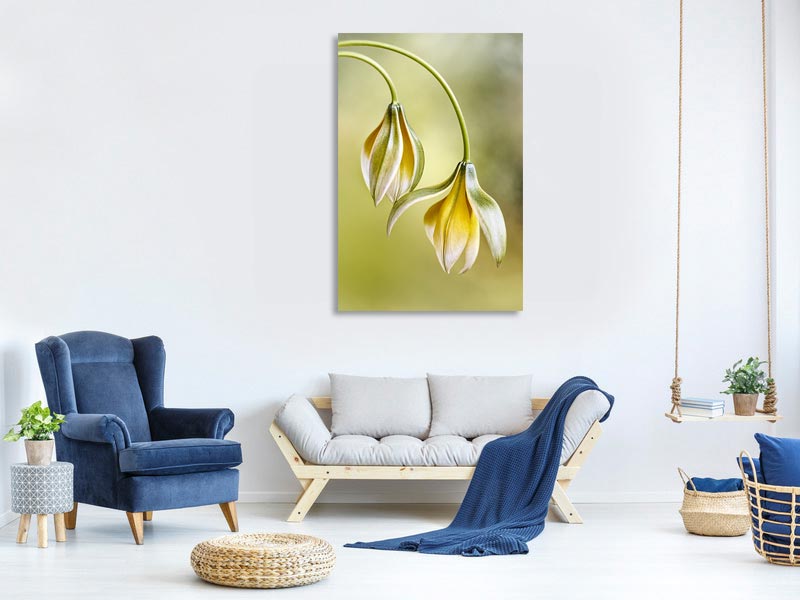 canvas-print-tulipa-x