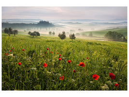 canvas-print-tuscan-spring