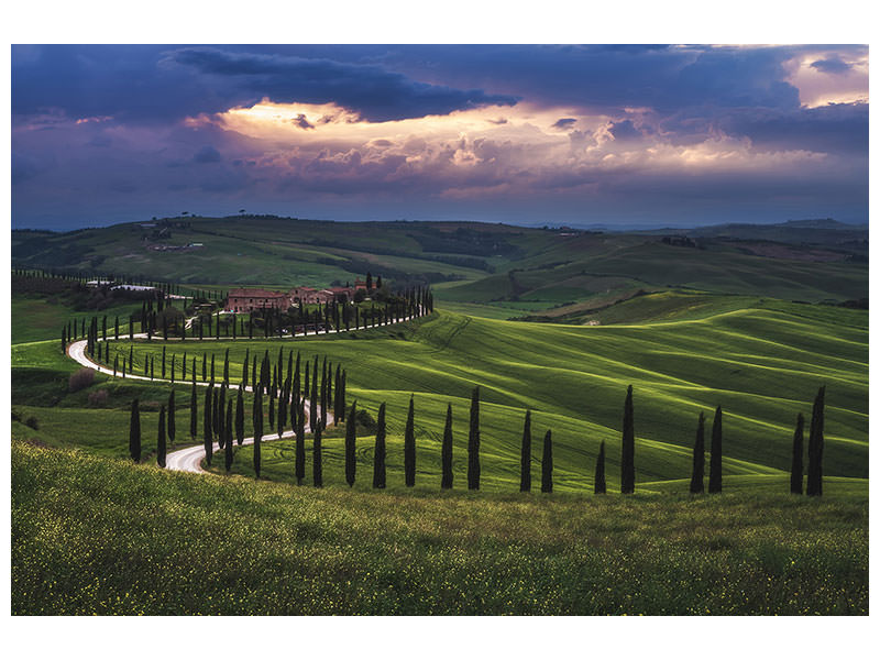 canvas-print-tuscany-crete-senesi