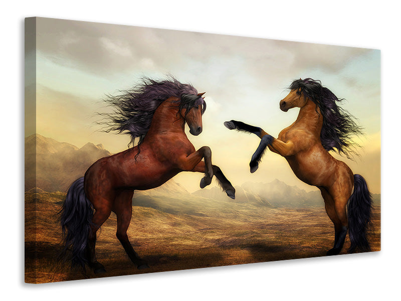 canvas-print-two-wild-horses