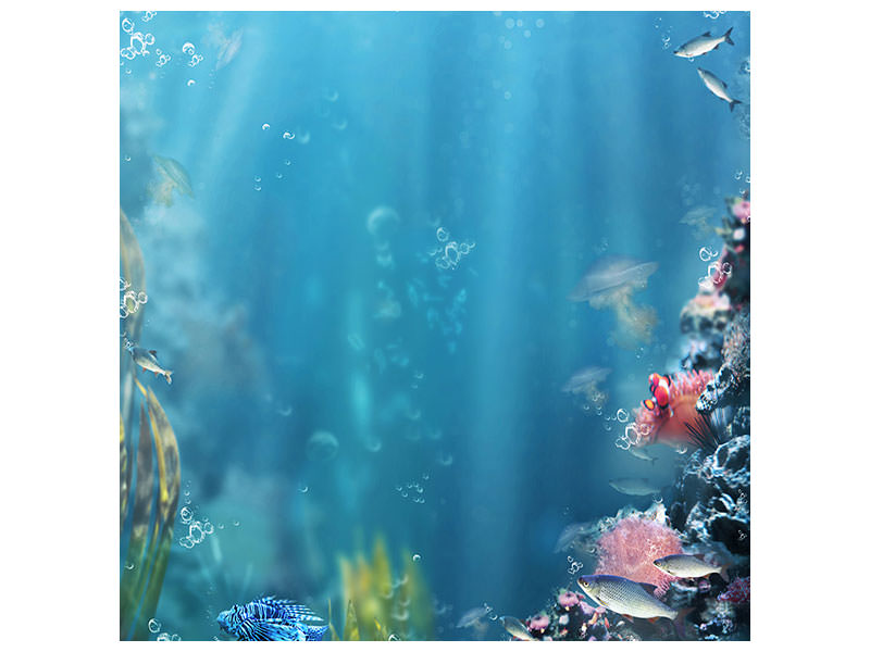 canvas-print-underwater