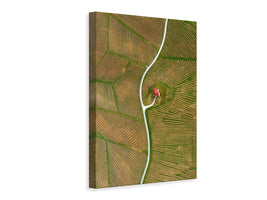 canvas-print-vinyards-x