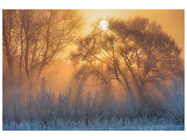 canvas-print-warm-and-cold-x