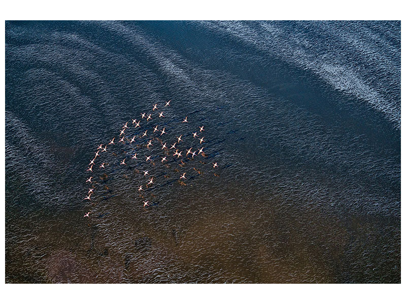 canvas-print-wave-runner