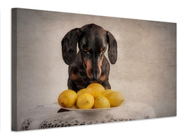 canvas-print-when-life-gives-you-lemons-x