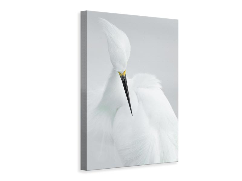 canvas-print-white-beauty-x