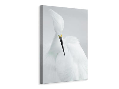 canvas-print-white-beauty-x