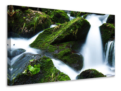 canvas-print-wild-waterfall