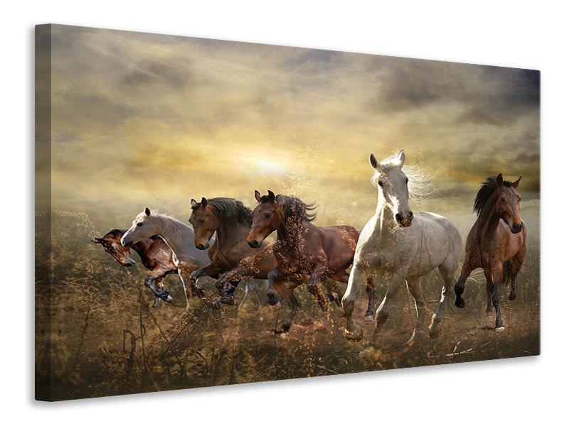 canvas-print-wild-wild-horses