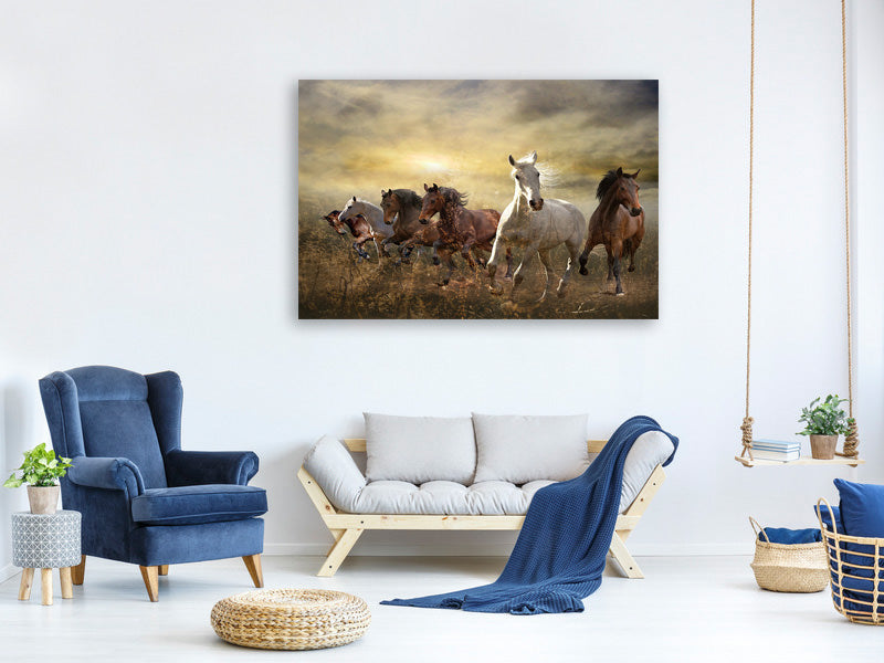 canvas-print-wild-wild-horses