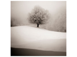 canvas-print-winter-degradee