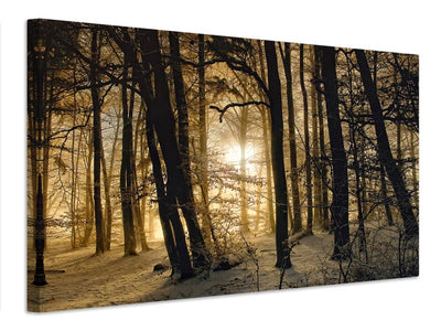 canvas-print-winter-morning-x