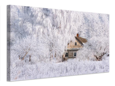 canvas-print-winter-tale-x