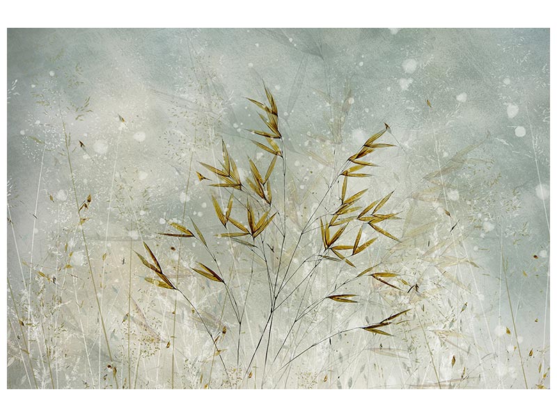 canvas-print-wintertime-x