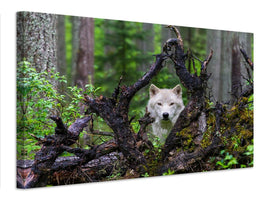 canvas-print-wolf-x