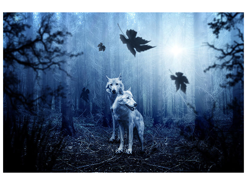 canvas-print-wolf39s-couple