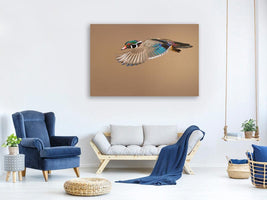 canvas-print-wood-duck-x