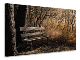 canvas-print-wooden-bench-in-the-forest