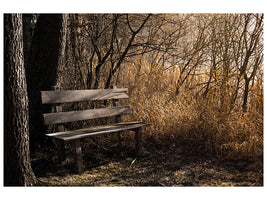 canvas-print-wooden-bench-in-the-forest