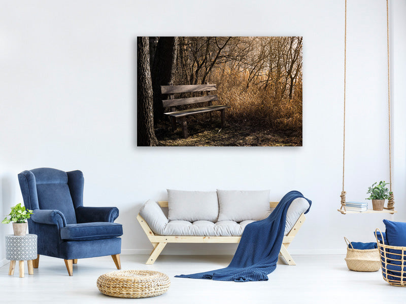 canvas-print-wooden-bench-in-the-forest