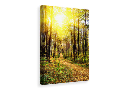 canvas-print-woodland-walk-in-the-autumn-sun