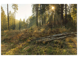 canvas-print-working-in-the-woods