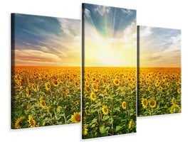 modern-3-piece-canvas-print-a-field-full-of-sunflowers