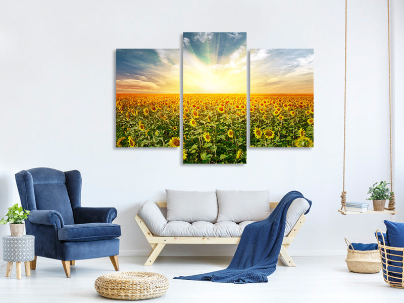 modern-3-piece-canvas-print-a-field-full-of-sunflowers