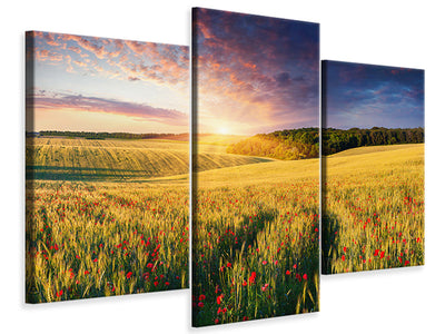 modern-3-piece-canvas-print-a-flower-field-at-sunrise