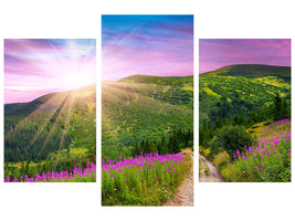 modern-3-piece-canvas-print-a-summer-landscape-at-sunrise