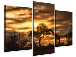 modern-3-piece-canvas-print-african-dreams