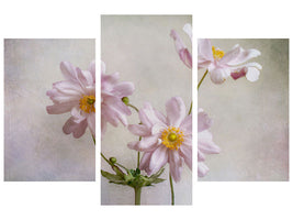 modern-3-piece-canvas-print-anemones