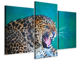 modern-3-piece-canvas-print-attention-leopard