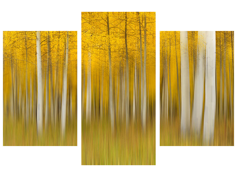 modern-3-piece-canvas-print-autumn-dream-ii