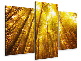 modern-3-piece-canvas-print-autumn-forest