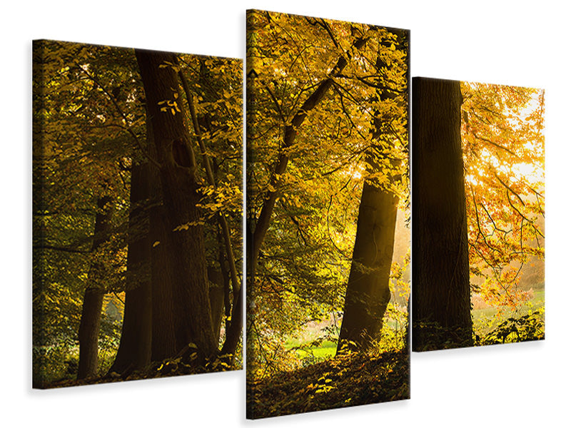 modern-3-piece-canvas-print-autumn-leaves