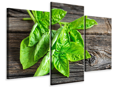 modern-3-piece-canvas-print-basil-leaves-ii