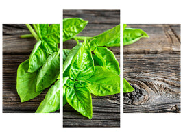 modern-3-piece-canvas-print-basil-leaves-ii