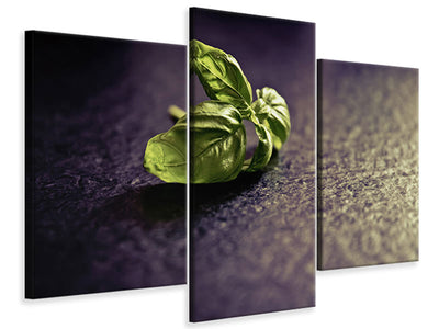 modern-3-piece-canvas-print-basil-leaves