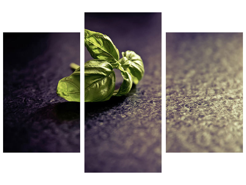 modern-3-piece-canvas-print-basil-leaves