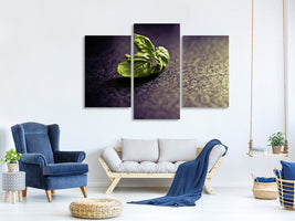 modern-3-piece-canvas-print-basil-leaves