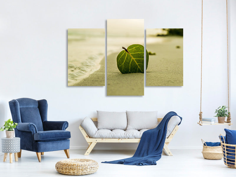 modern-3-piece-canvas-print-beach-leaf